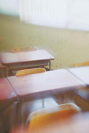 子供の理解を深めることができる